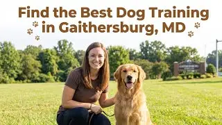 Find the Best Dog Training in Gaithersburg Maryland