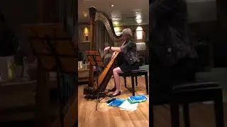 Harpist at the Isle of Man