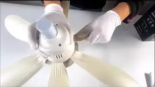 Fandis quiet Ceiling Fan With LED Light #highlights #youtubereels #shopee