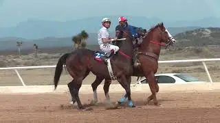 HIT # 7 MATURITY 3 ESTADOS *LA CANELA CUADRA SANTA CATARINA*