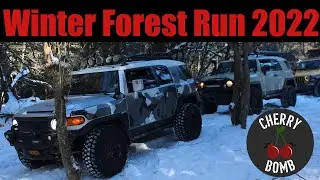 VLOG | Winter Forest Run 2022 | Explore Overland