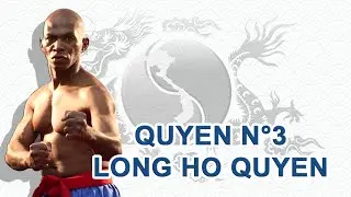 Vovinam Viet Vo Dao / Quyen N°3 - Long ho quyen par Gilles CROZON-CAZIN