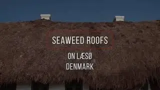 Seaweed Roofs on Læsø, Denmark