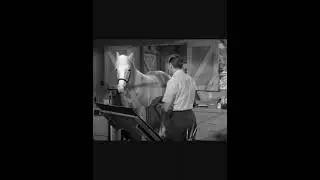 Mister Ed Makes A Post Office Joke On Wilbur While In Trouble For Stealing A Bag Of Mail.