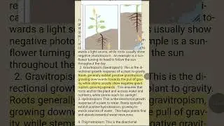 Tropism is plants