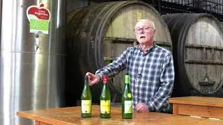 Gurutzeta - Nuestra sidra: tipos de botella