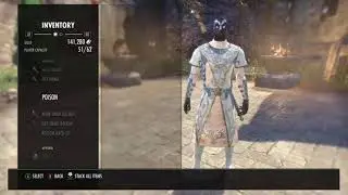 51.1k Magblade dps test - Wolfhunter DLC