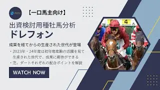 【一口馬主】種牡馬 ドレフォン Drefong の出資検討用分析【ゆっくり動画】