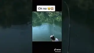 gros poisson