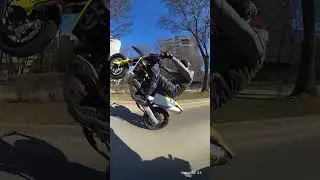 HSQ 701 wheelie