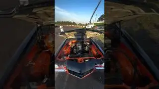 هذا سباق دراغ ريس V8، إنه حدث رائع حقاً.