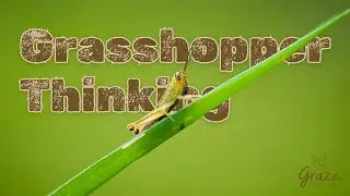 Grasshopper Thinking