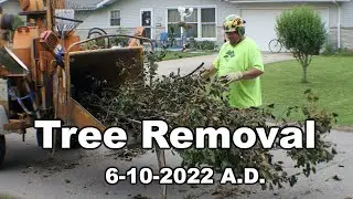 Tree Removal - 1246 Evelyn Street - Taylorsville, Indiana U.S.A. - 6-10-2022 A.D. (Original)