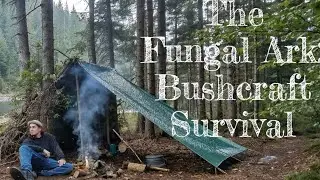 Silent Forest Survival: Hand-Built Shelter, Wild Mushrooms & Fire Cooking + ASMR Nature Sounds