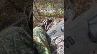 Hunting with a bow for does #hunting#deerhunting#bowhunting