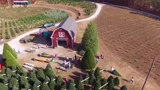 Spring Brook Farm - Christmas Trees - Long