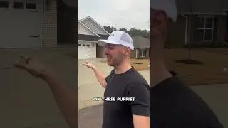 Builders Went a Little Crazy