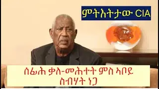 #ቃለ-መሕተት ምስ ኣቦይ ስብሓት #ኣብ TDF ልኡኻት CIA ኣለዉ ይብሉ