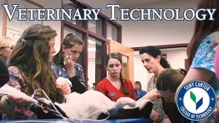 Veterinary Technology Programs at SUNY Canton