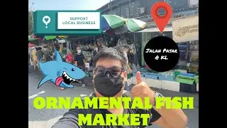 EP4 My Monster Fish Journey (Jalan Pasar Ornamental Fish Market @ KL)