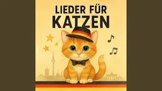 Lustige Katzenlieder