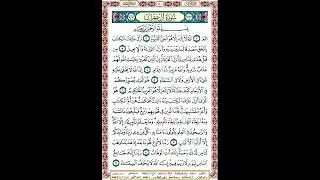 1. الصفحة 50 - الم الله لا اله الا هو الحي القيوم نزل عليك.. مكررة 10 مرات .. ماهر المعيقلي