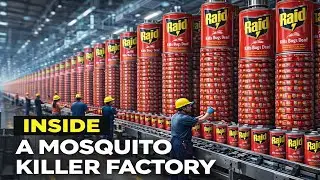 За кулисами производства средств от комаров | Как производится спрей Raid в огромных масштабах