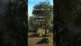 The olive tree is a symbol of peace and wisdom. #greek #oliveoil #olivetrees #peace #wisdom #luxury