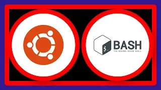 'No such file or directory' error in bash, but the file exists?