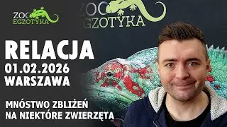 RELACJA Zooegzotyka Warszawa 01.02.2026