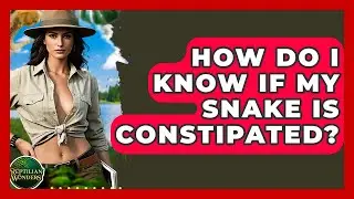 How Do I Know If My Snake Is Constipated? - Reptilian Wonders