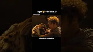 Dolittle Movie Fight Scene with Tiger|Shortcut Explain | #shorts #fypシ #kuaishou #movieexplanation