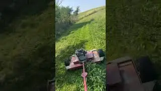 Mowing Clover