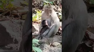 Cute hug mom tak milk