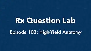 Rx Question Lab - High-Yield Anatomy