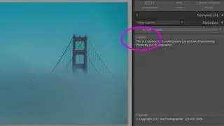 WordPress automatically imports IPTC captions
