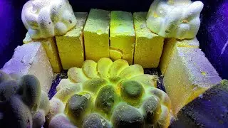 9 BLOCKS -GLOW IN THE DARK GYMCHALK CRUMBLE-ASMR