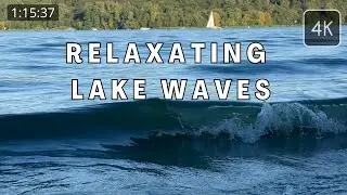 1 Hour 15 mins of Real Lake Waves & Nature Sounds | Relaxing No-Loop for Sleep, Meditation & Focus
