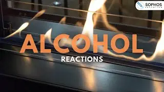 AQA only: Alcohol Reactions
