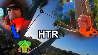 HOBART TREE REMOVAL WITH REASON WHY, STC Tree Services