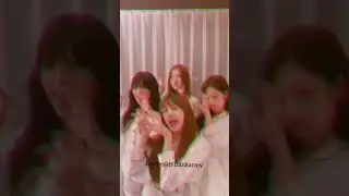 Gummy bear trend by Blackpink ( #blackpink #gummybear #kpop #trending #shorts #ytshorts