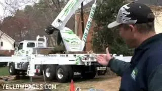 Atlanta Tree Removal Kilmurry's Tree Service