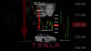 Tesla #automotivenews  #electriccars #automobile #tesla #teslamotors #teslamodely