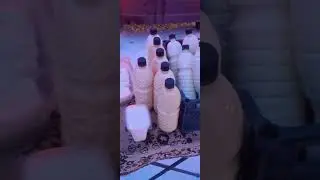 ДЕНЬ ПРОЖИТ НЕ ЗРЯ.