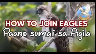 HOW TO JOIN EAGLES? PAANO SUMALI SA AGILA?