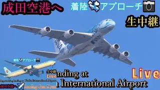 [2026/01/17❶] ✈️成田空港 🛬本生📸中継 ライブ配信 【✈️Narita international airport ⌚𝐫𝐞𝐚𝐥 𝐭𝐢𝐦𝐞📸 Live】#live