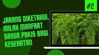 Jarang Diketahui, Inilah Manfaat Sayur Pakis bagi Kesehatan