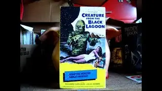 Found the box of old moldy Horror VHS Videos, I bought at the auction years ago