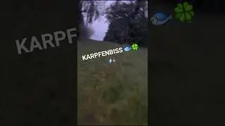 Karpfenbiss 🐟😎🐟