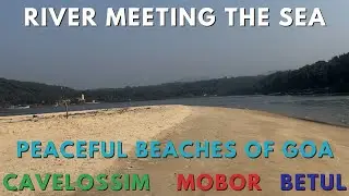 🏖️ Beach Run in South Goa | Cavelossim ➝ Mobor ➝ Betul | River Sal Meets Arabian Sea 🌊